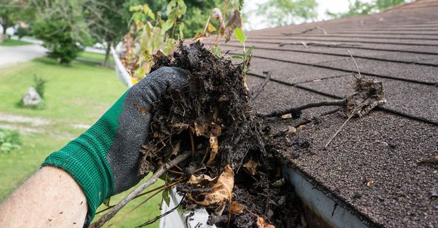 5 Reasons Why You Should Clean Your Gutter