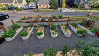 A Few Facts To Know About Raised Garden Beds